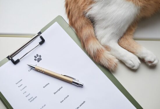 Állatorvosi vény jogszabály, állatorvosi vény alaki követelményei